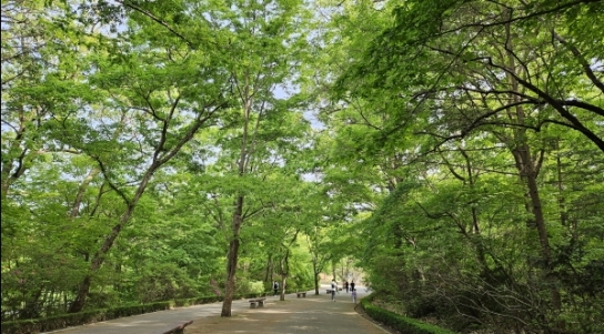 국립수목원, 어린이날 어린이 동반가족 무료입장