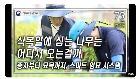식목일에 심는 나무는 어디에서 오는 걸까?
