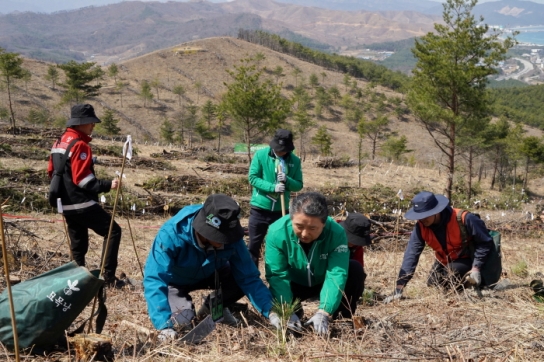신혼부부 100쌍, 산불피해지에 미래를 심다!