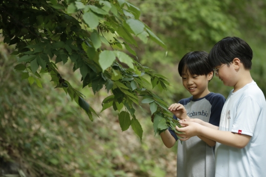 ‘늘봄학교 숲교육’ 활성화를 위한 한국산림복지진흥원-북부지방산림청-서울특별시교육청 업무협약 체결