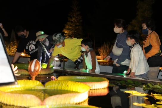 국립수목원, 달빛 아래 화려한 초대 ‘광릉숲 썸머 블룸’ 개최