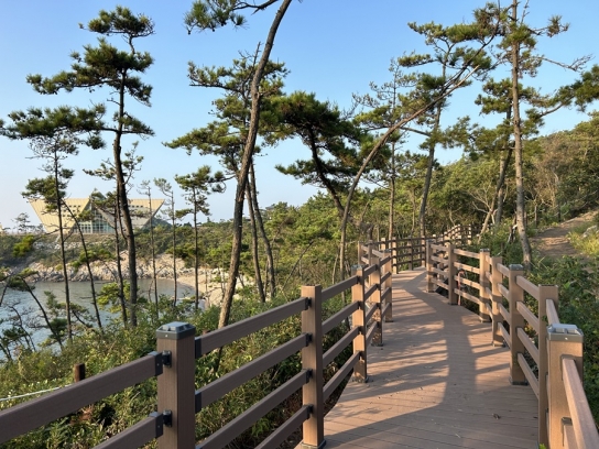 교통약자도 누리는 낮과 밤의 향연!