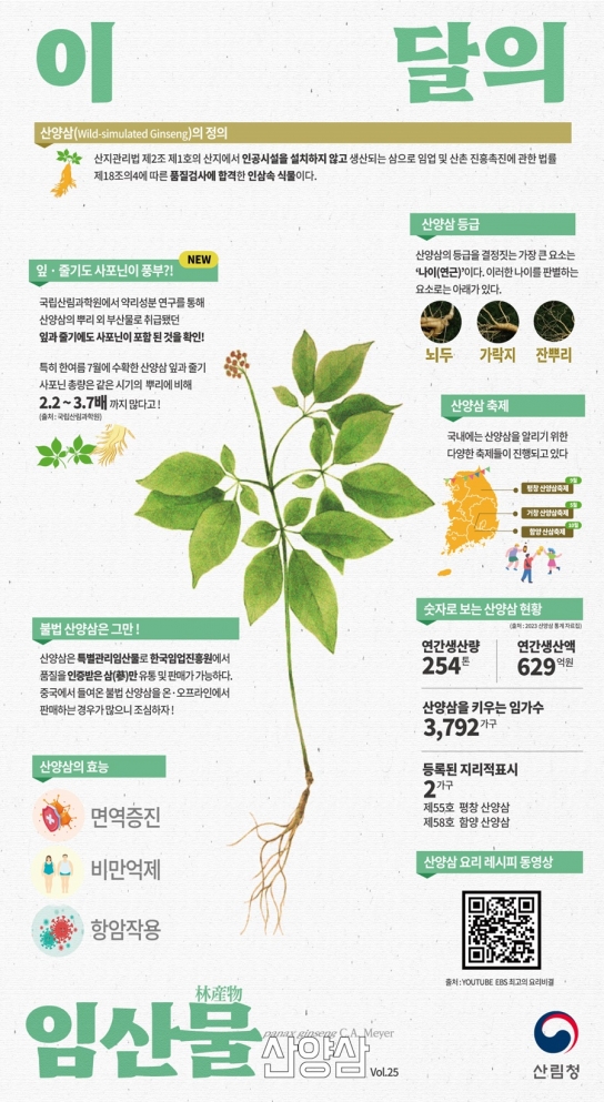 여름이 오기 전 ‘산양삼’으로 원기 보충해요