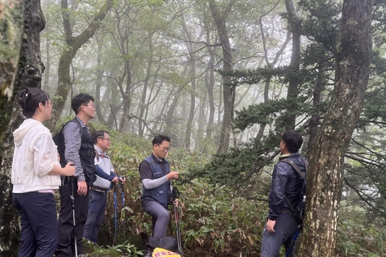 구상나무 등 멸종위기 고산 침엽수 보전‧복원해 산림생태계 건강성 회복