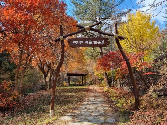 올 가을, 걷기 좋은 오색단풍 명품숲길 5곳 추천