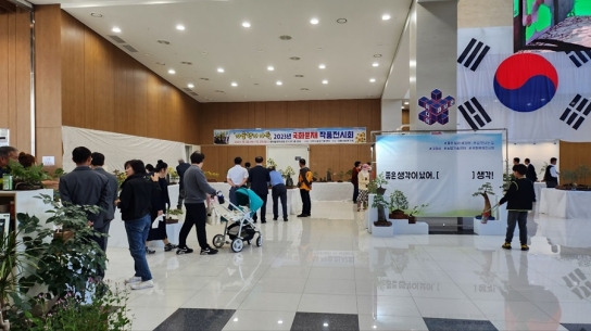 국화의 향기 속 가을 힐링, 국화분재 전시회 개막