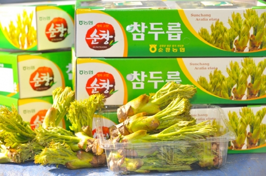 순창 두릅농가‘든든한 울타리’생겼다…농작물재해보험 도입