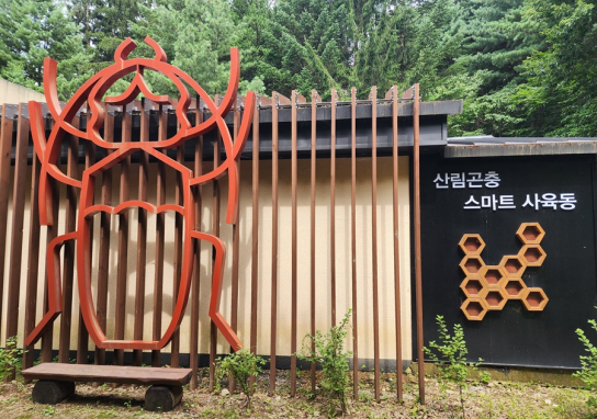 ‘천연기념물, 장수하늘소’ , 성공적 복원 위해 국립기관 간 손 맞잡아