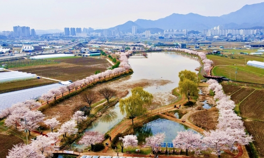 산림청, 올해의 모범 도시숲 5곳 선정