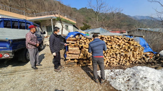 가을철 소나무류 이동 특별단속 실시