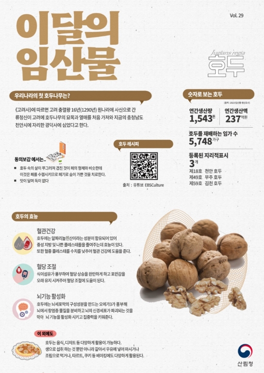 11월 이달의 임산물...생김새도 효능도 ‘뇌’처럼 똑똑한 ‘호두’