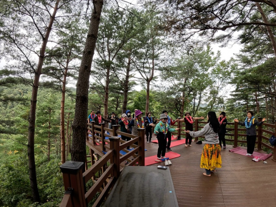 국립대관령치유의숲, 강릉시노인종합복지관과 연계하여 회기형 산림치유프로그램 제공