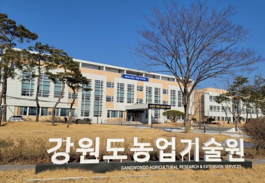 강원자치도농업기술원,‘달래’비료 사용기준 설정
