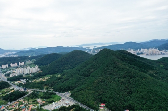통영시,‘삼봉산 힐링숲’조성 추진