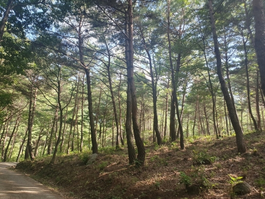 통영시, 숲가꾸기 분야 6년 연속 우수기관 선정