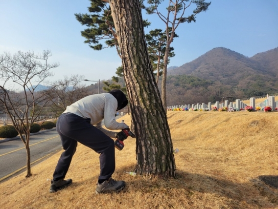 한국임업진흥원-대전현충원 소나무재선충병 피해관리 협력체계 구축