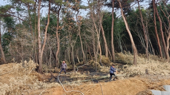 충청남도 홍성군 산불발생... 진화완료