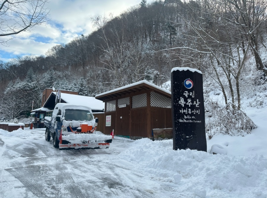 산림청, 주말 강설 예보에 산림복지시설 사전 점검 추진