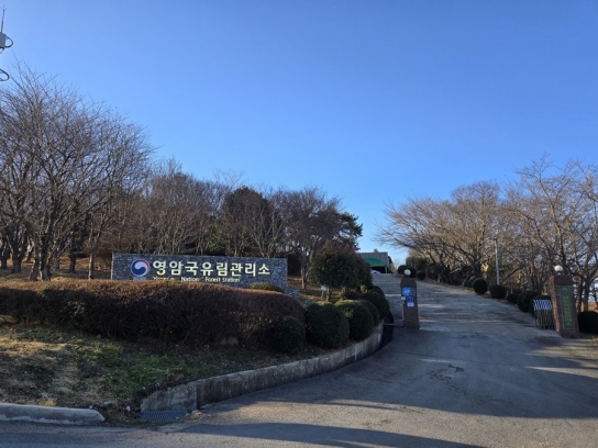 영암국유림관리소, 23억 들여 230ha 사유림 매수한다