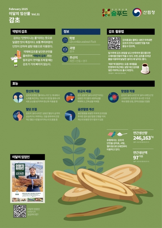 산림청, 2월 이달의 임산물로 ‘감초’ 선정