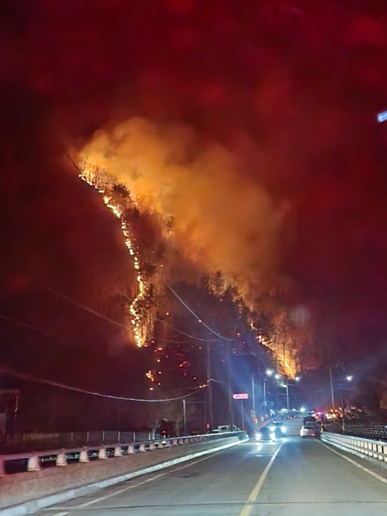정선산불 산림당국 총력대응으로 진화완료