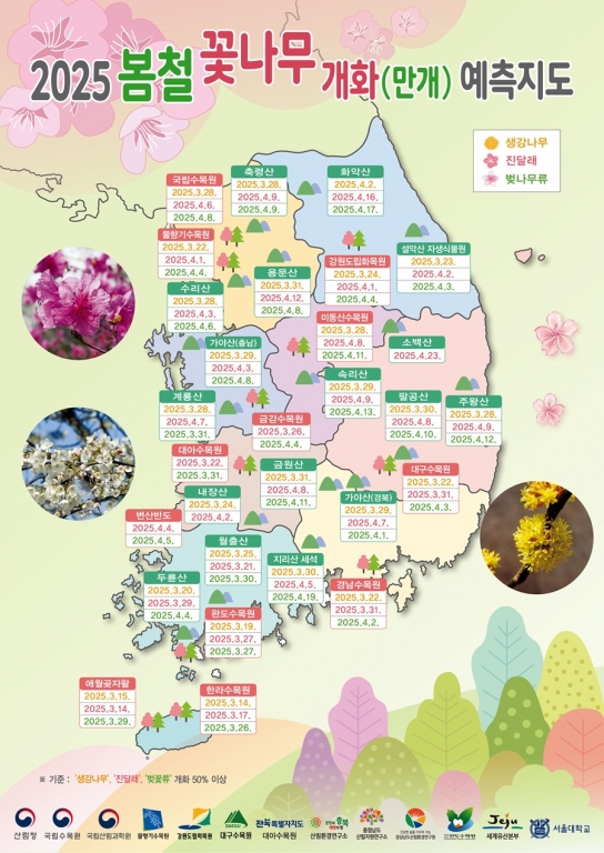 산림청, 2025년 봄철 꽃나무 개화 예측 발표… 개화 시기 지난해보다 다소 늦어질 전망