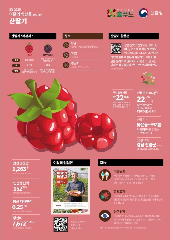 산림청, 3월 이달의 임산물로 ‘산딸기’ 선정