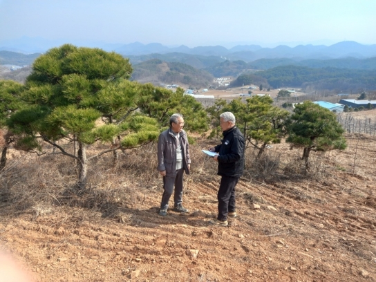 영월국유림관리소, 소나무류 유관기관 합동 단속