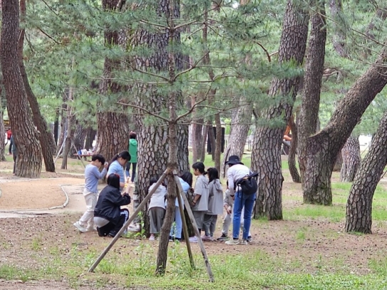 “숲속 힐링” 하동송림 생태해설 프로그램 4월부터 시작