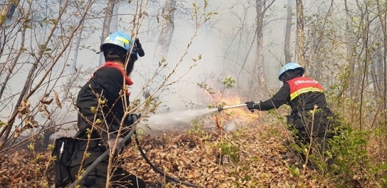 산림당국 전남 보성 산불.. 진화완료