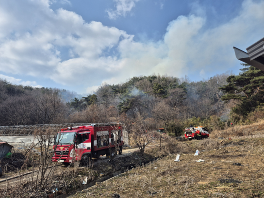 산림당국 충남 예산 산불.. 진화완료