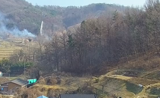 산림당국 충남 홍성 산불.. 진화완료