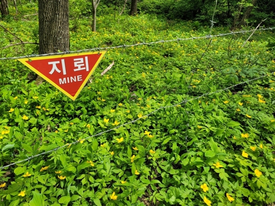 DMZ펀치볼둘레길 탐방 운영 개시