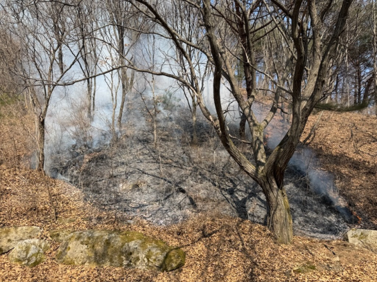 산림당국 강원 화천 산불.. 진화완료