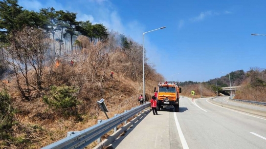 산림당국 강원 삼척 산불.. 진화완료