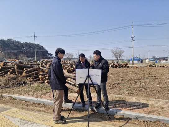 군산시 김영민 부시장, 소나무재선충병 방제지 현장 점검
