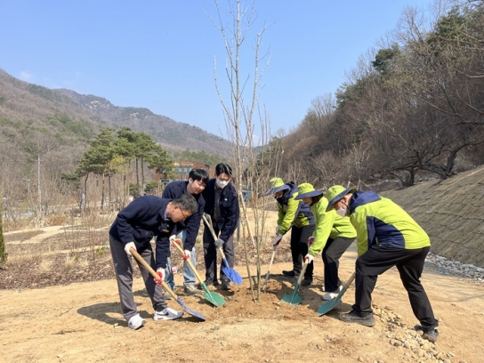 [사진뉴스] 청명엔 식재가 제격