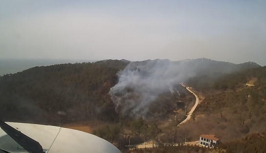 산림당국 충남 태안 산불.. 진화완료