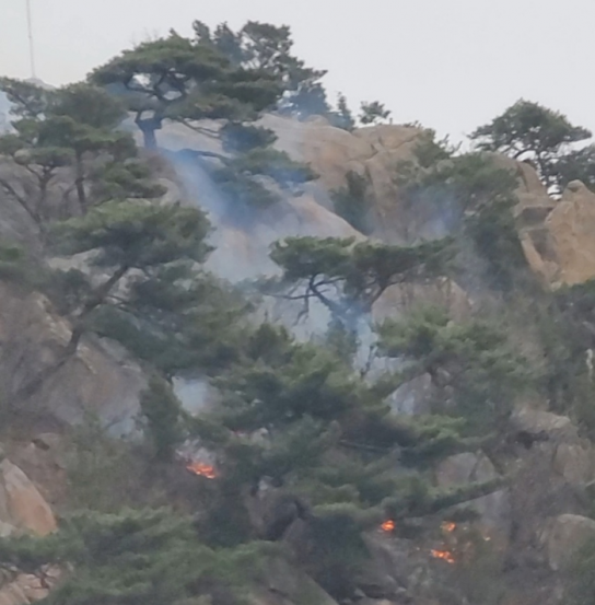 산림당국 서울 관악구 산불.. 주불 진화 완료