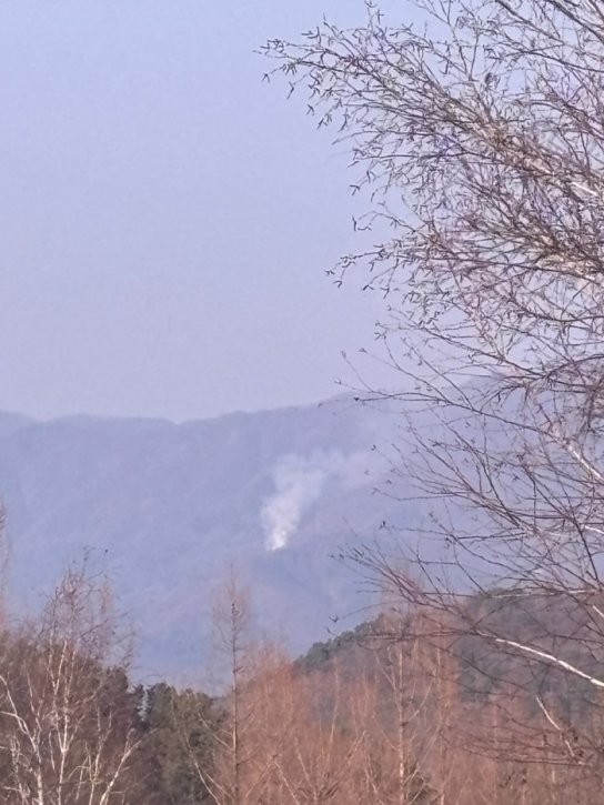 산림당국 경기 가평 산불.. 주불 진화 완료