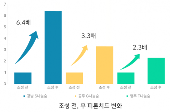 복권기금으로 조성한 나눔숲, ‘피톤치드 6배 높고, 마음건강 회복까지’