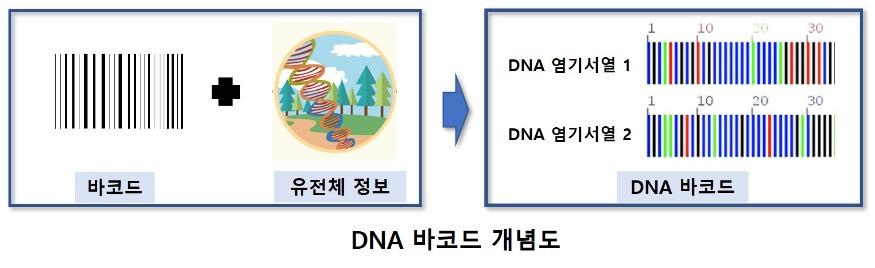 DNA 바코드 개념도.jpg